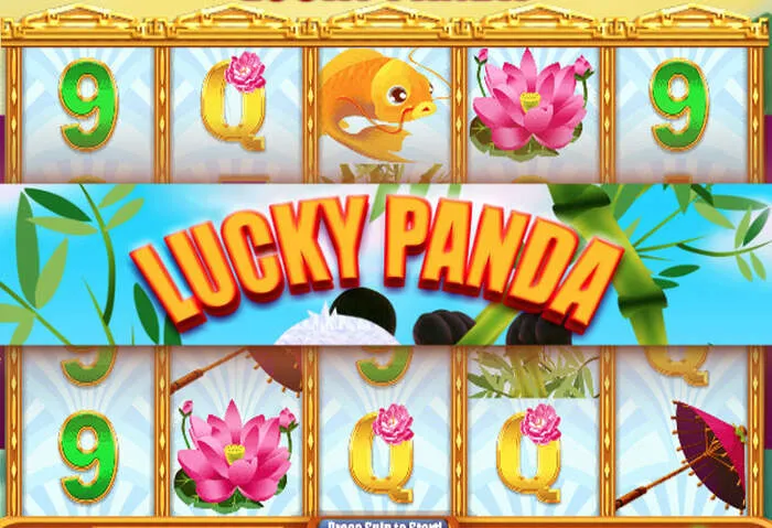Partie de poker en direct sur Luckybear Casino avec un croupier réel et des joueurs.