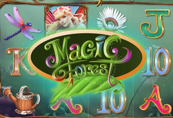 Detaillierte Informationen zu Luckybear Casino Auszahlungsmöglichkeiten