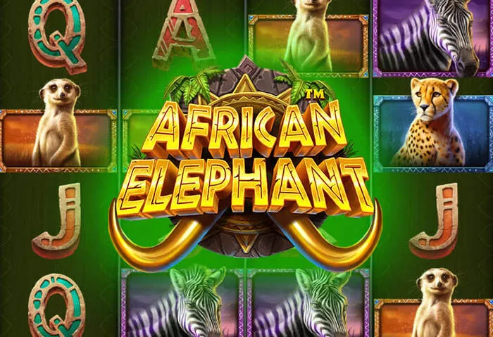 Métodos de saque Luckybear Casino: Pix, transferência bancária e carteiras digitais.