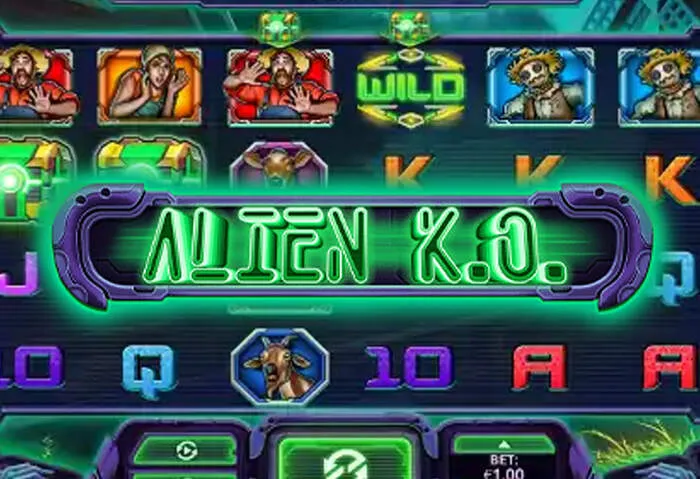 Spannende Echtzeit-Action im Luckybear Live Casino mit professionellen Dealern