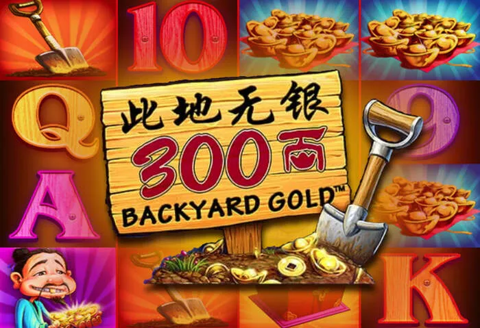 Diversas opções de pagamento e transações no Luckybear Casino Brasil