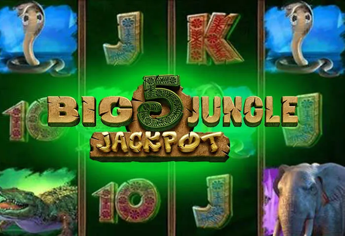 Luckybear Casino'nun en popüler slot oyunları koleksiyonu