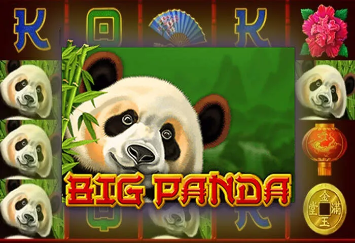 Newest game titles from Luckybear Casino bonus codes.