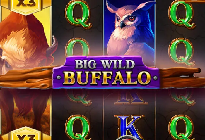Options de retrait sécurisées et paiements rapides chez Luckybear Casino
