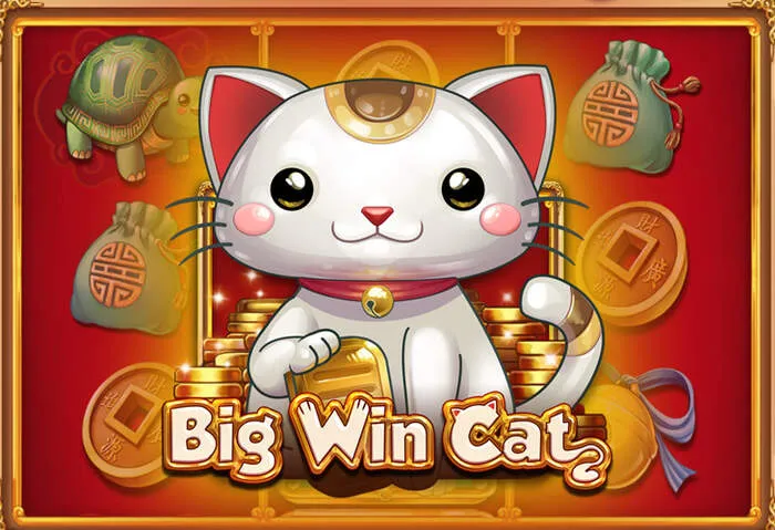 Best way to Luckybear casino play online.