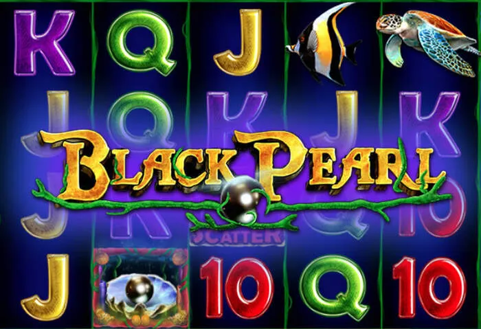 Diversas opções de pagamento e transações no Luckybear Casino Brasil