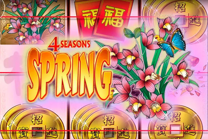 Dépôt sécurisé et rapide sur Luckybear Casino avec diverses options