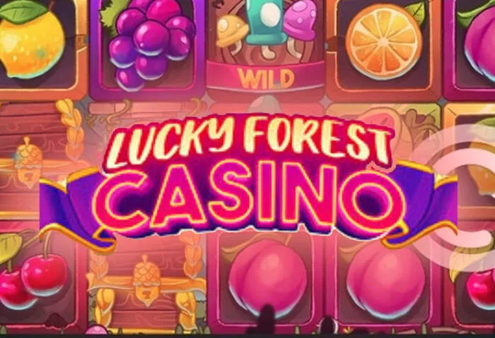 Gagnez gros avec les machines à sous et jeux de table exclusifs de Luckybear Casino.